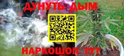 стаф Славгород