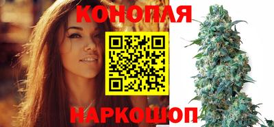 молекула духа Сланцы