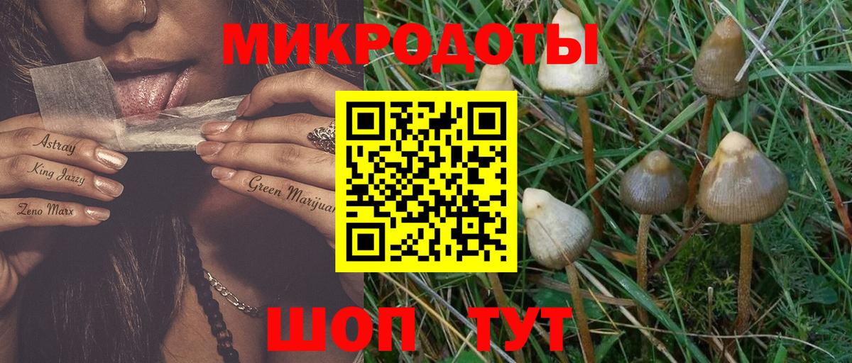 Галлюциногенные грибы мицелий Оренбург